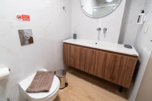 Modern bathroom with walk-in shower and sink