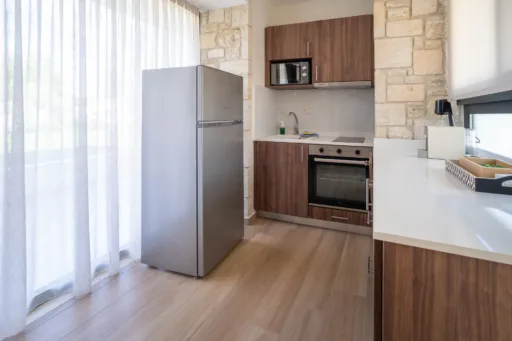 Fully equipped modern kitchen with wooden cabinetry